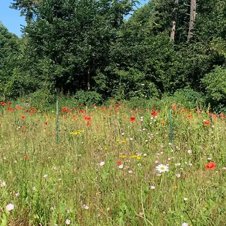 Luxusní stan Naturcamping #tipi #zelt #jurte #glamping In Der Seenplatte Mst Mecklenburgische Seenplatte #mecklenburg-vorpommern